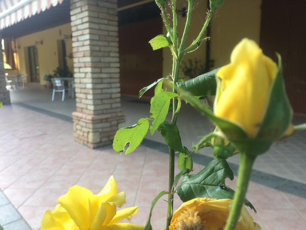 Вилла Agriturismo 7 Colonne Бертиноро Экстерьер фото